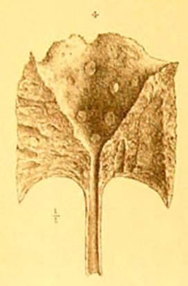 slide4_3.jpg
